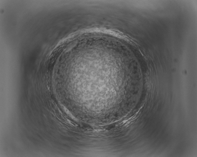 X0000056371494200508291347