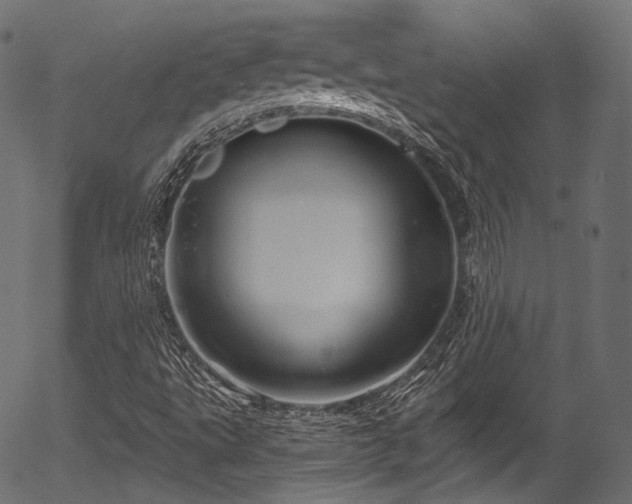 X0000056371495200508291347