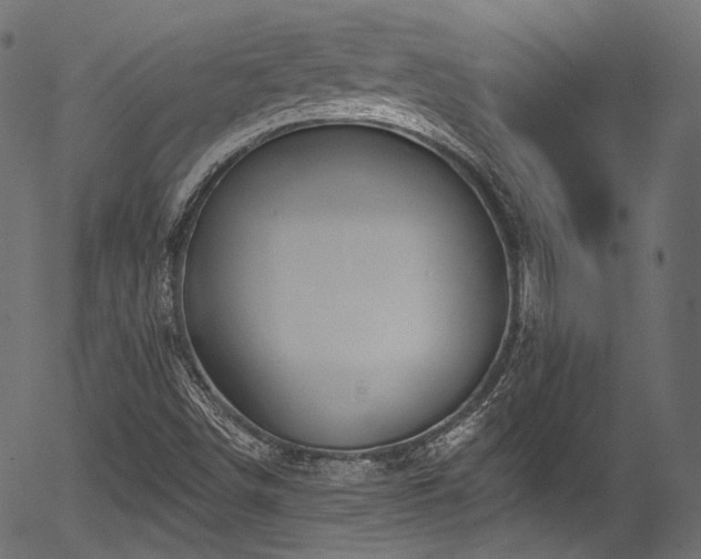 X0000056371498200508291347