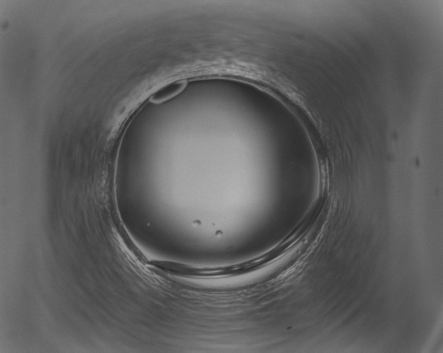 X0000056371500200508291347