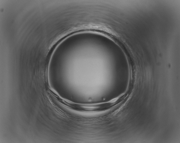 X0000056371505200508291347