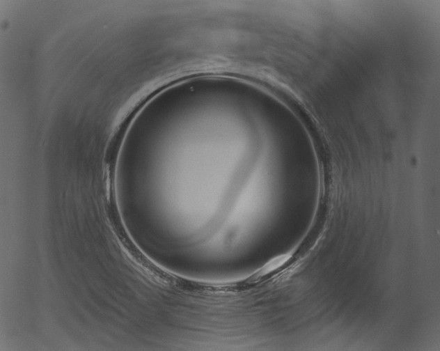 X0000056371509200508291347