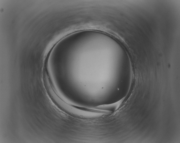 X0000056371512200508291347