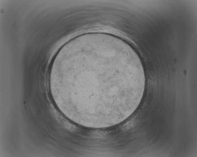 X0000056371514200508291347