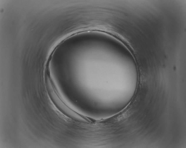 X0000056371516200508291347