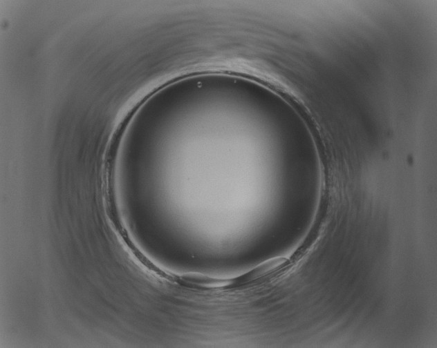 X0000056371517200508291347