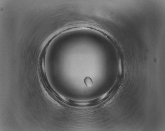 X0000056371518200508291347