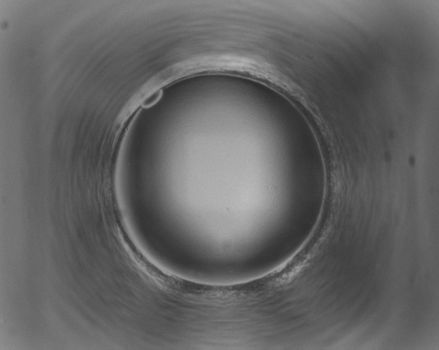 X0000056371521200508291347