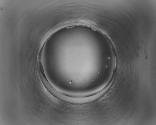 X0000056371524200508291347