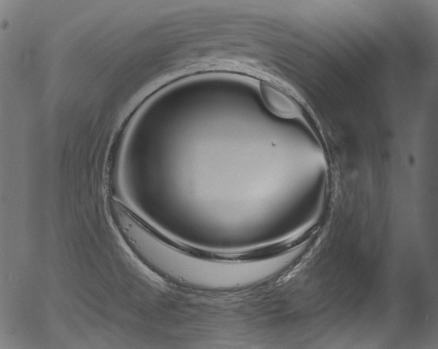 X0000056371525200508291347