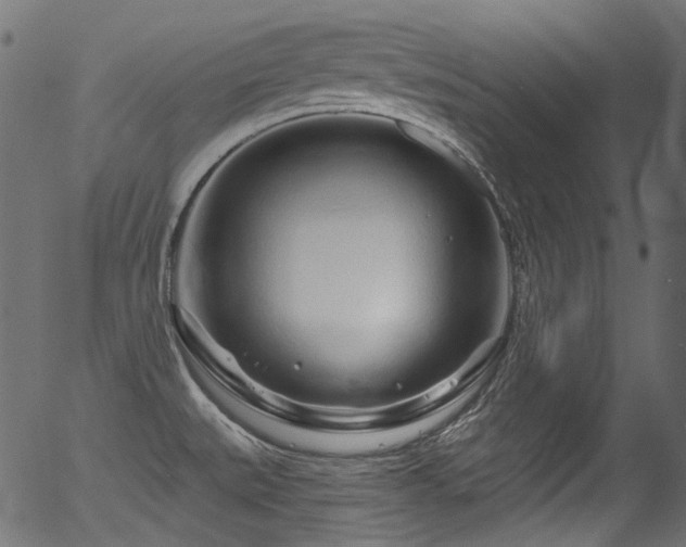 X0000056371527200508291347