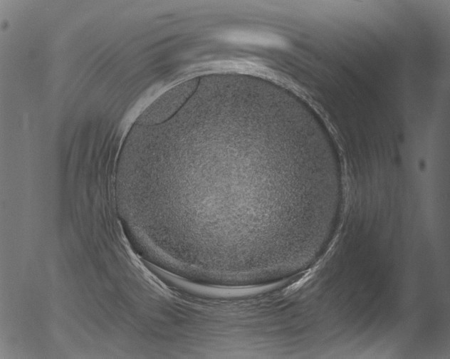 X0000056371529200508291347