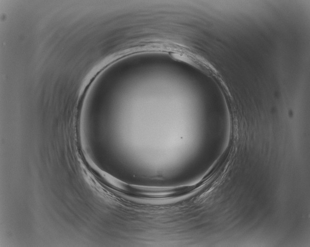 X0000056371530200508291347