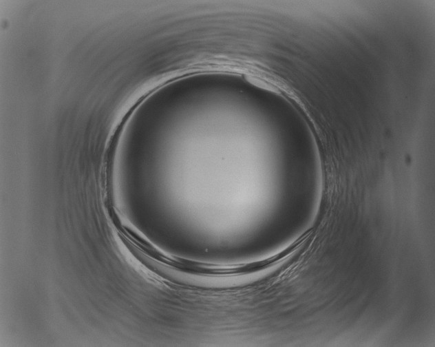 X0000056371531200508291347