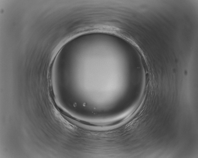 X0000056371532200508291347