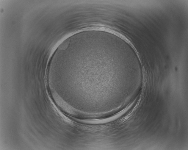 X0000056371533200508291347