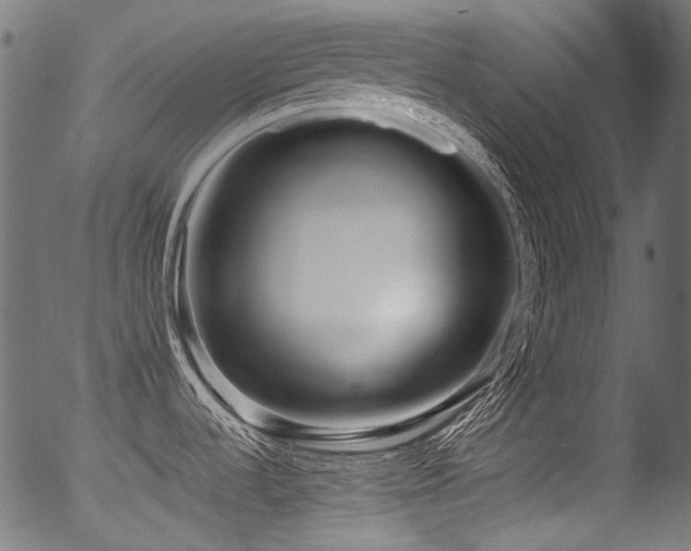 X0000056371536200508291348