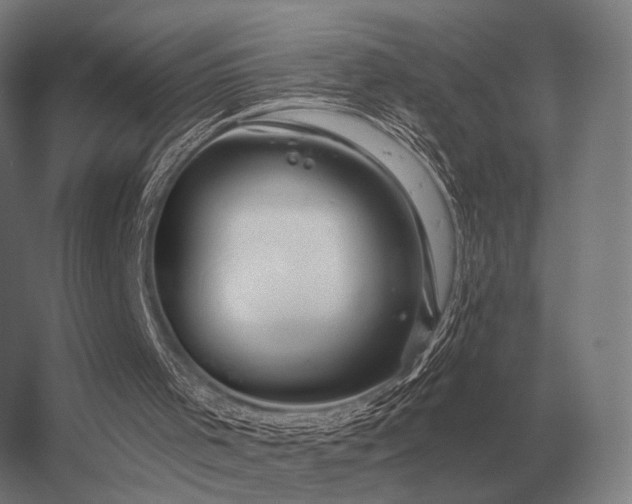 X0000056370001200509021826