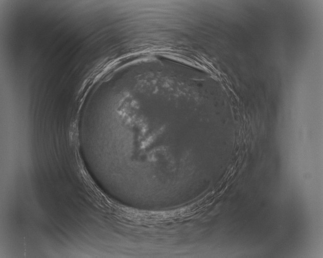 X0000056370002200509021826