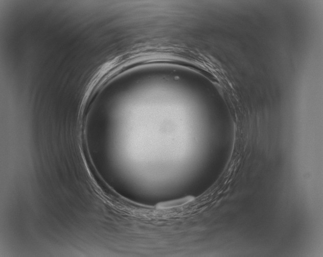 X0000056370003200509021826