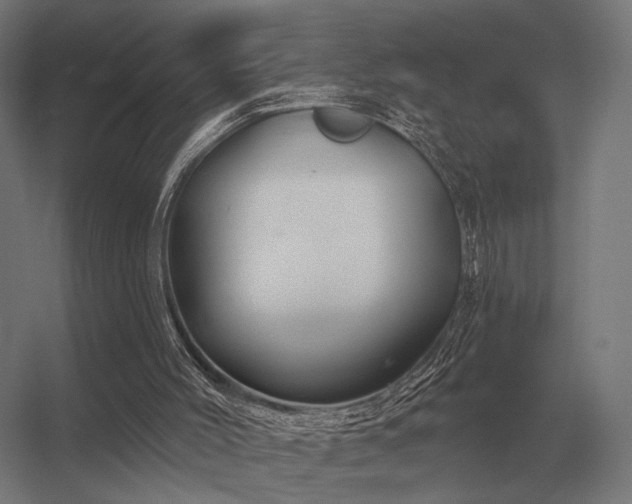 X0000056370004200509021826