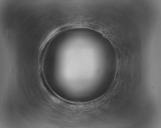 X0000056370005200509021826