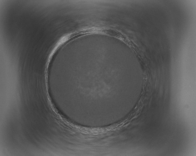 X0000056370006200509021826