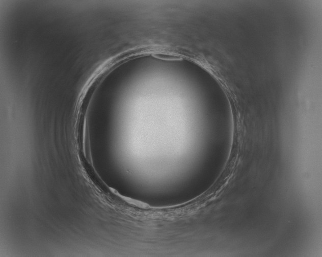 X0000056370007200509021826