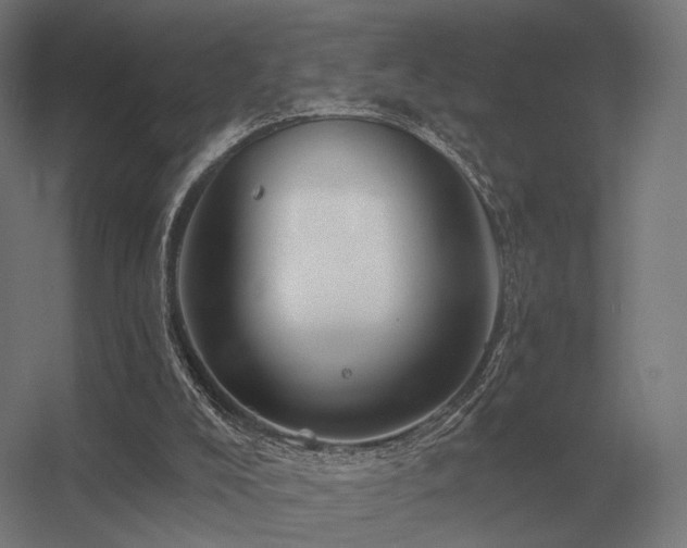 X0000056370008200509021826