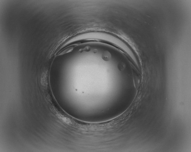 X0000056370009200509021826