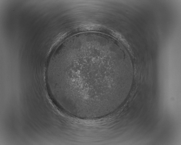 X0000056370010200509021826