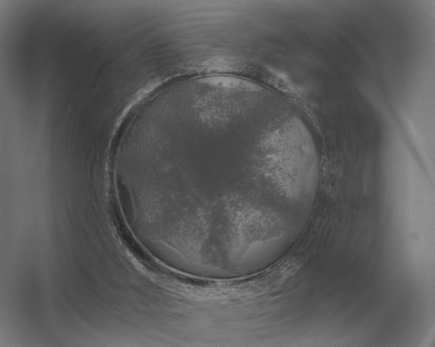 X0000056370012200509021826