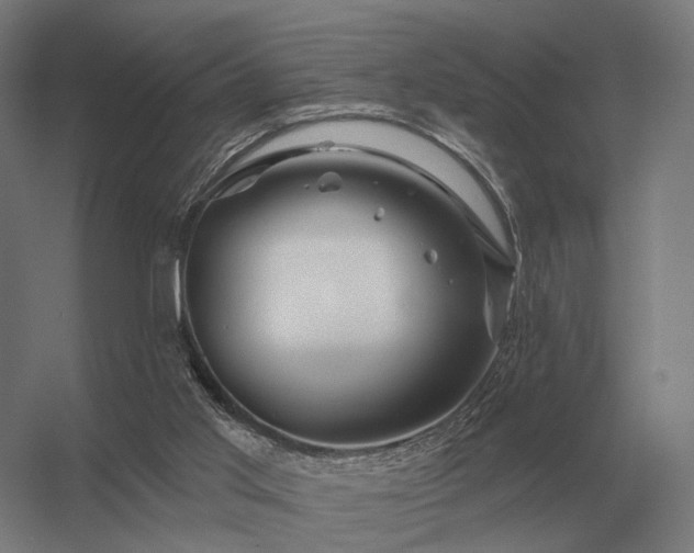 X0000056370013200509021826