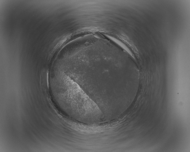 X0000056370014200509021826