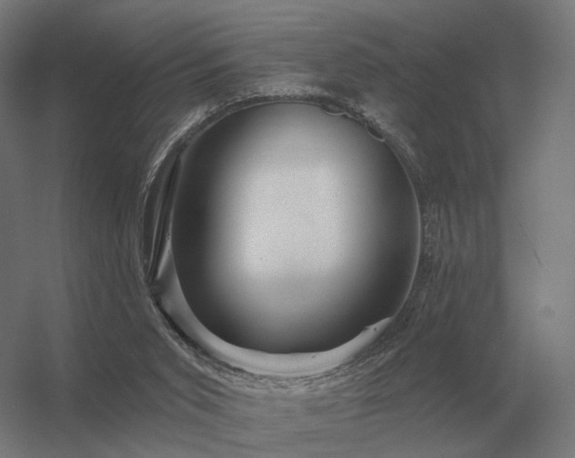 X0000056370015200509021826