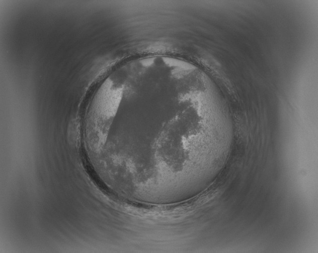 X0000056370016200509021826