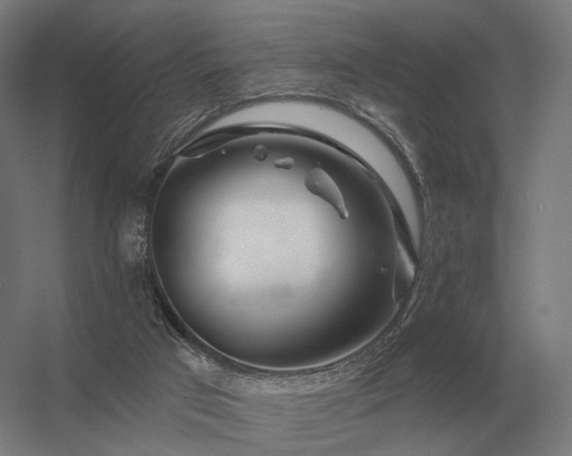 X0000056370017200509021826