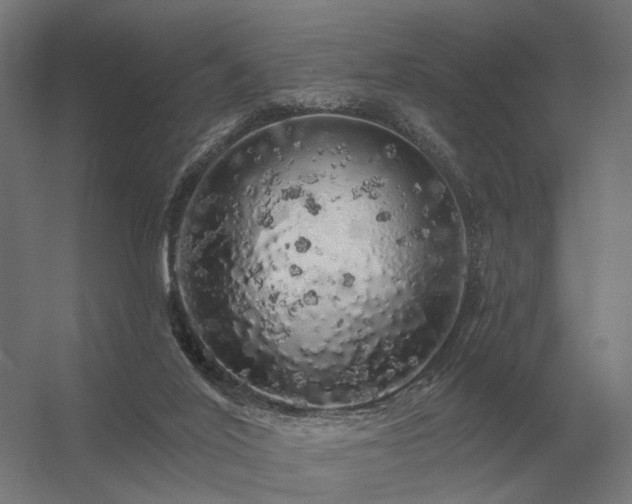 X0000056370020200509021826