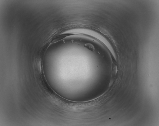 X0000056370021200509021826