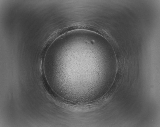 X0000056370024200509021826