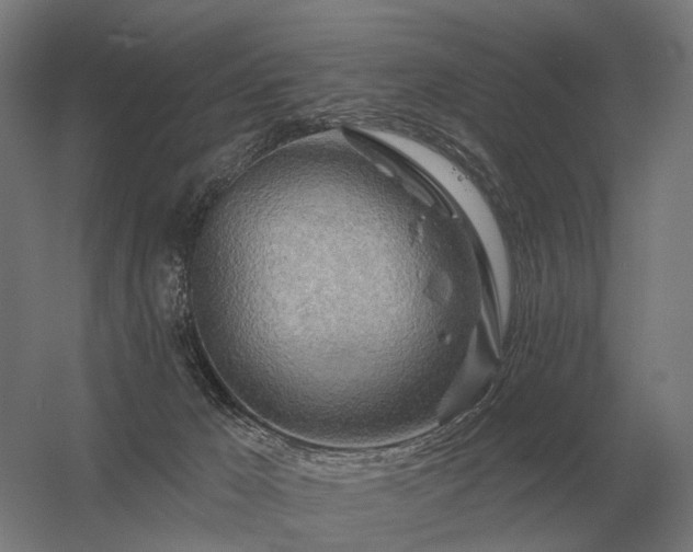 X0000056370029200509021826