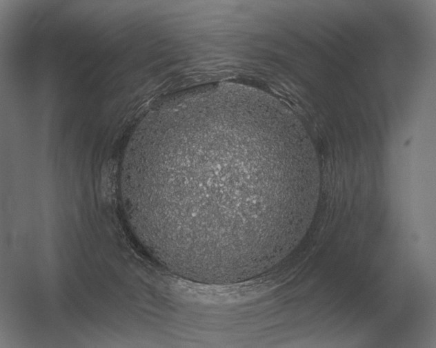 X0000056370030200509021826