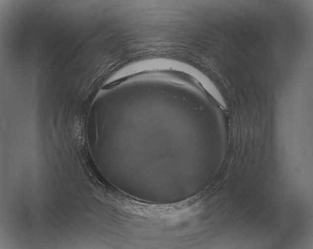 X0000056370031200509021826