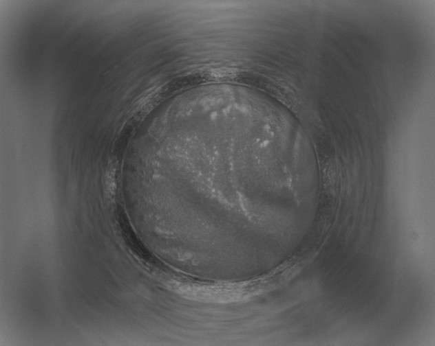 X0000056370032200509021826