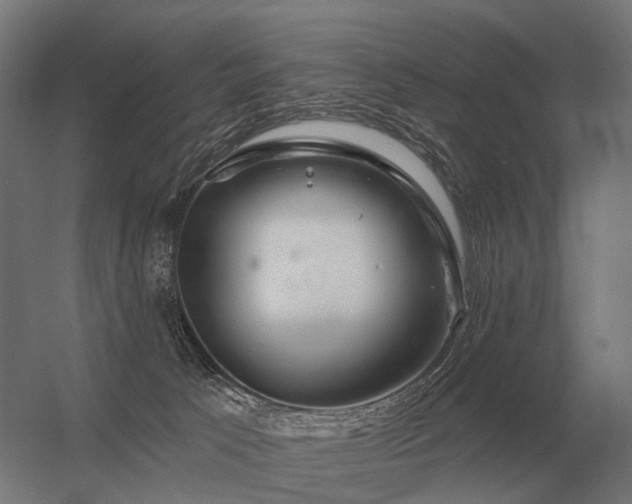 X0000056370033200509021826