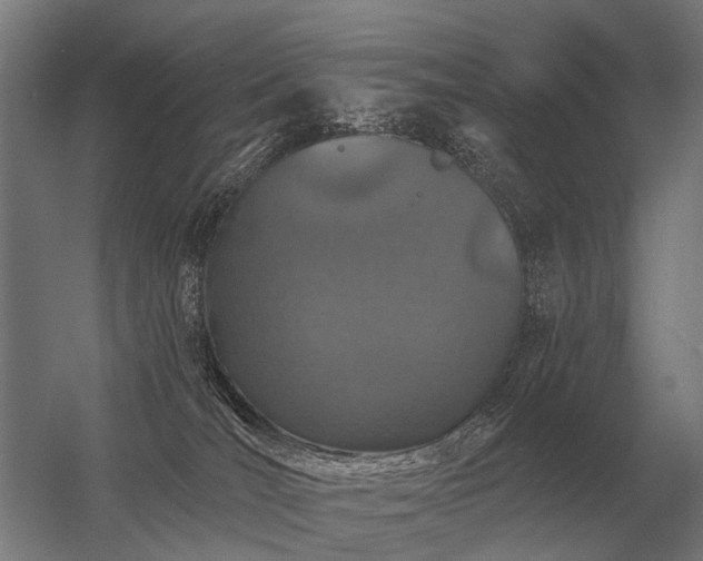 X0000056370036200509021826