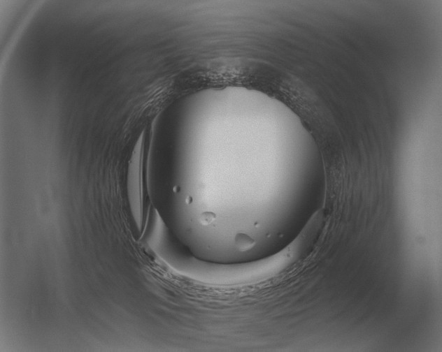 X0000056370037200509021826