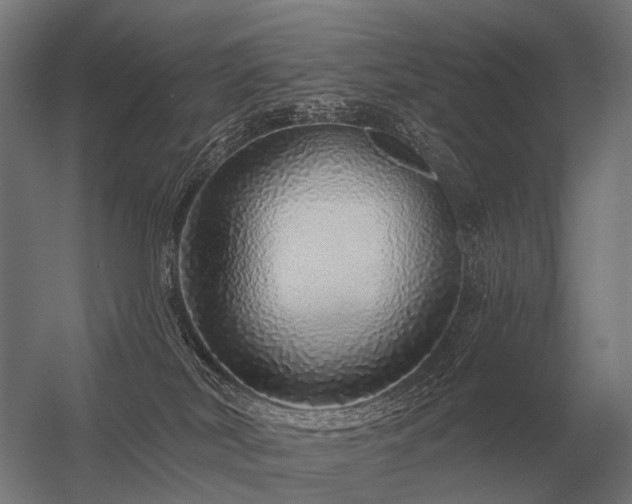 X0000056370038200509021826