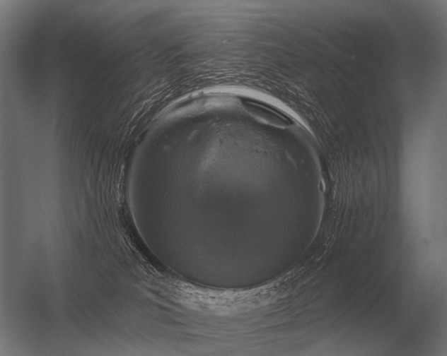 X0000056370039200509021826