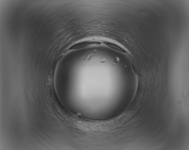 X0000056370040200509021826